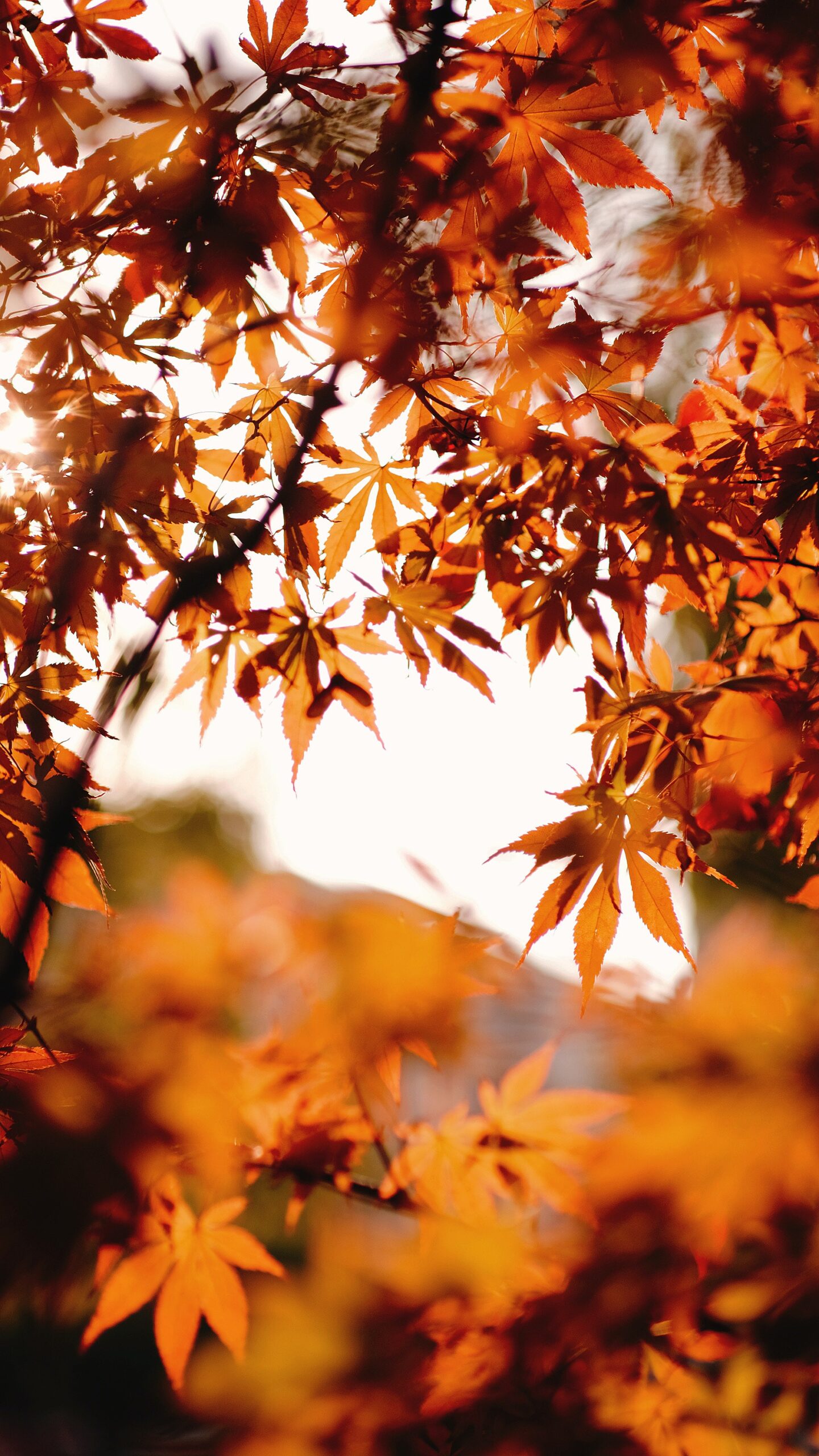 herbst tanzsportwochenende